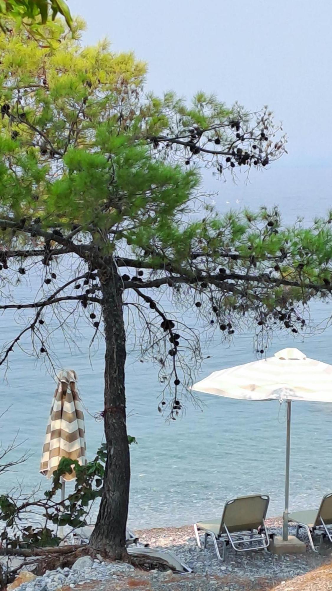 Nama Beach House Arkadiko Chorio ภายนอก รูปภาพ