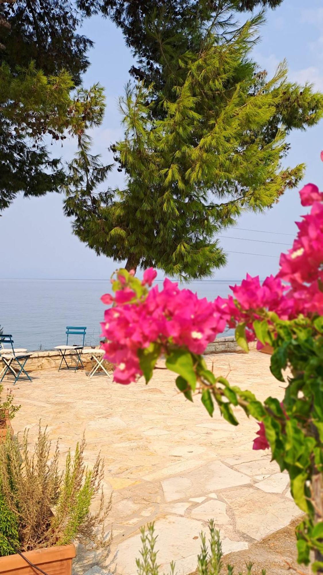 Nama Beach House Arkadiko Chorio ภายนอก รูปภาพ